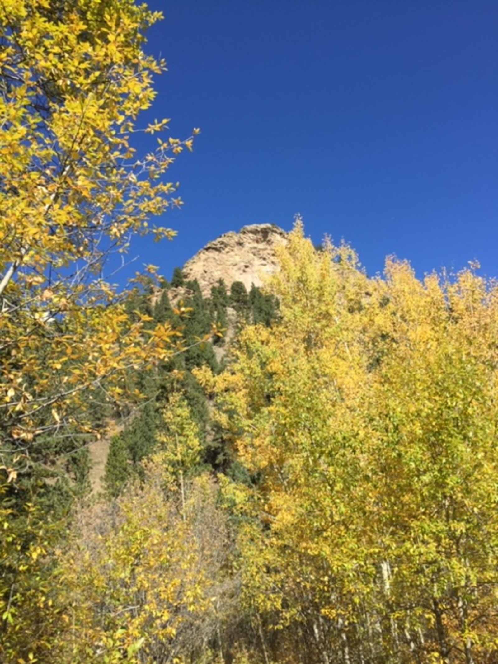 Creekside Paradise - Colorado - glamping.directory
