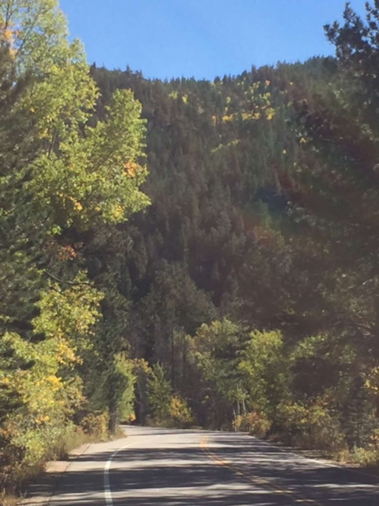 Creekside Paradise - Colorado - glamping.directory