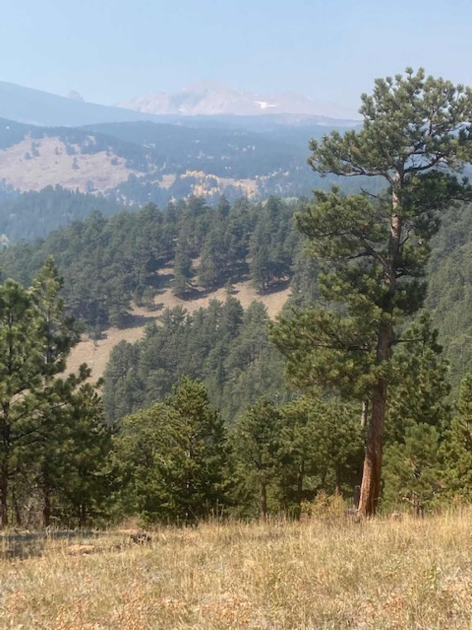 Creekside Paradise - Colorado - glamping.directory