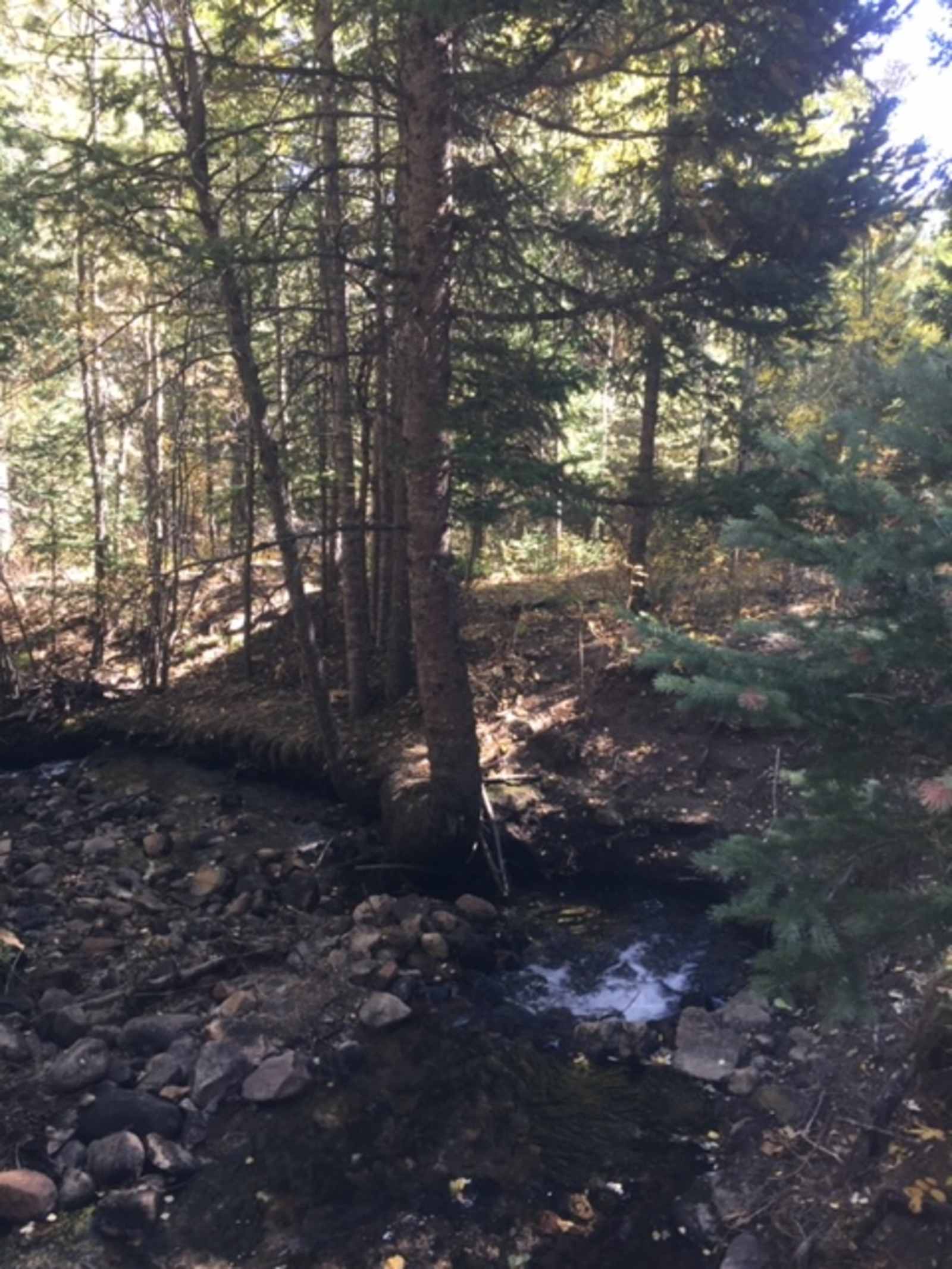 Creekside Paradise - Colorado - glamping.directory