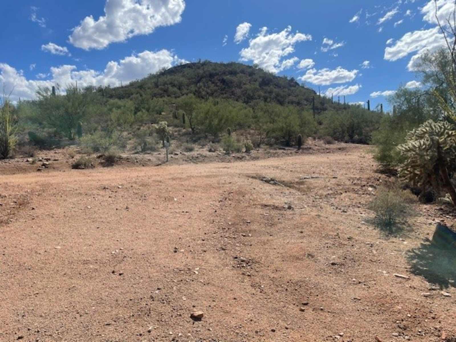 Red Hill at Ironwood National Park - Marana, Arizona - glamping.directory
