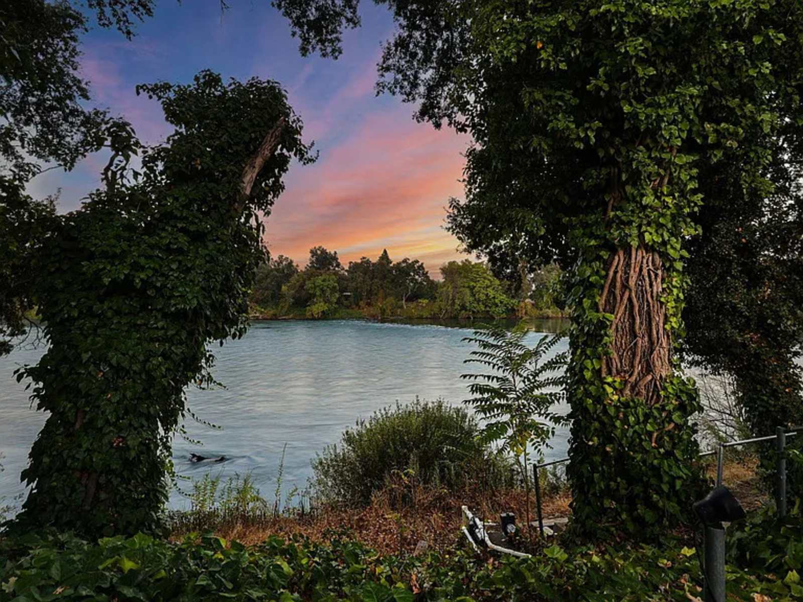 THE RIVERVIEW VENUE & RV - Anderson, California - glamping.directory