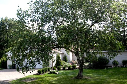 Charming Cabin with a Gorgeous Lawn and Patio in White Lake, Michigan - White Lake, Michigan - glamping.directory