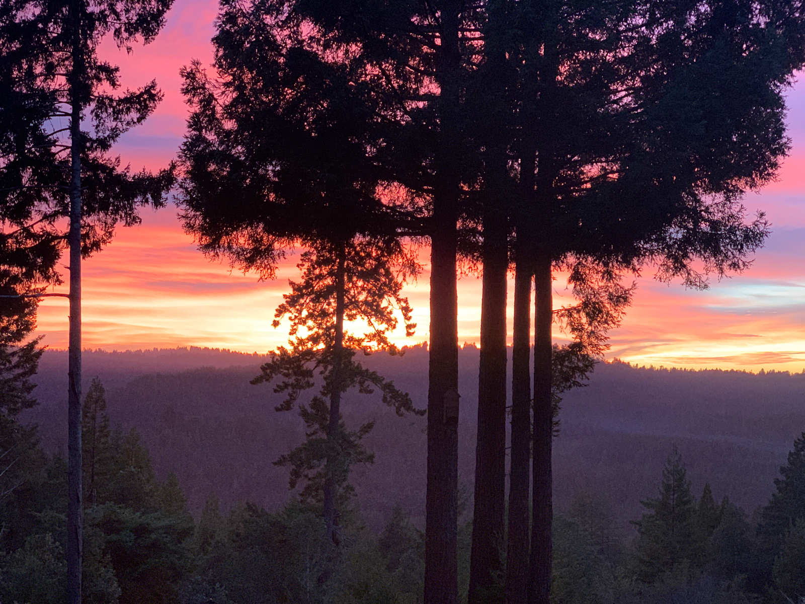 Comptche Matrix @ Sunny-land - Comptche, California - glamping.directory