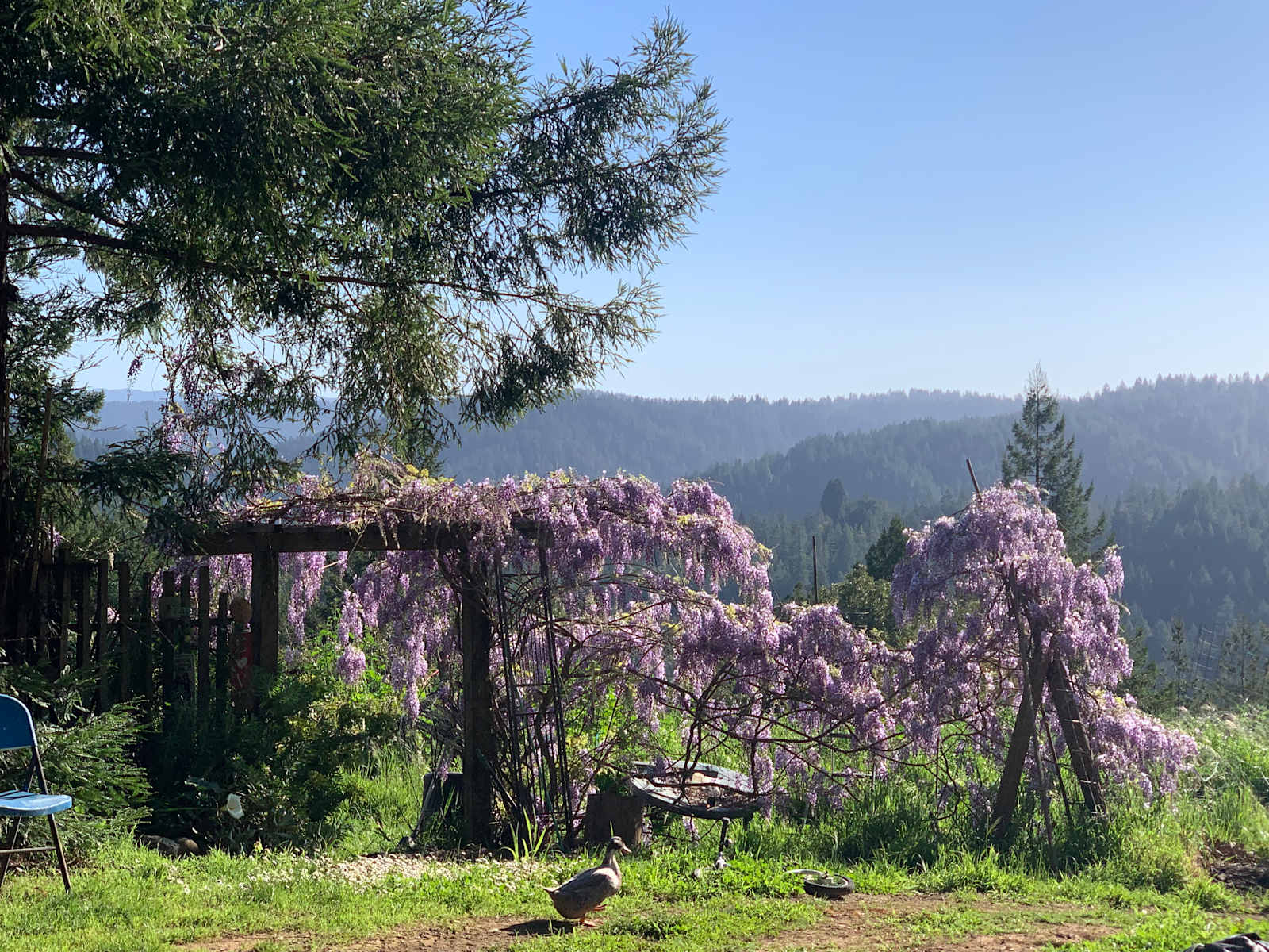 Comptche Matrix @ Sunny-land - Comptche, California - glamping.directory
