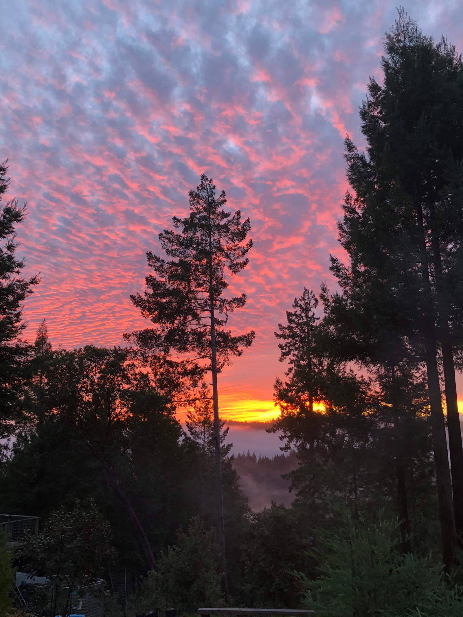 Comptche Matrix @ Sunny-land - Comptche, California - glamping.directory
