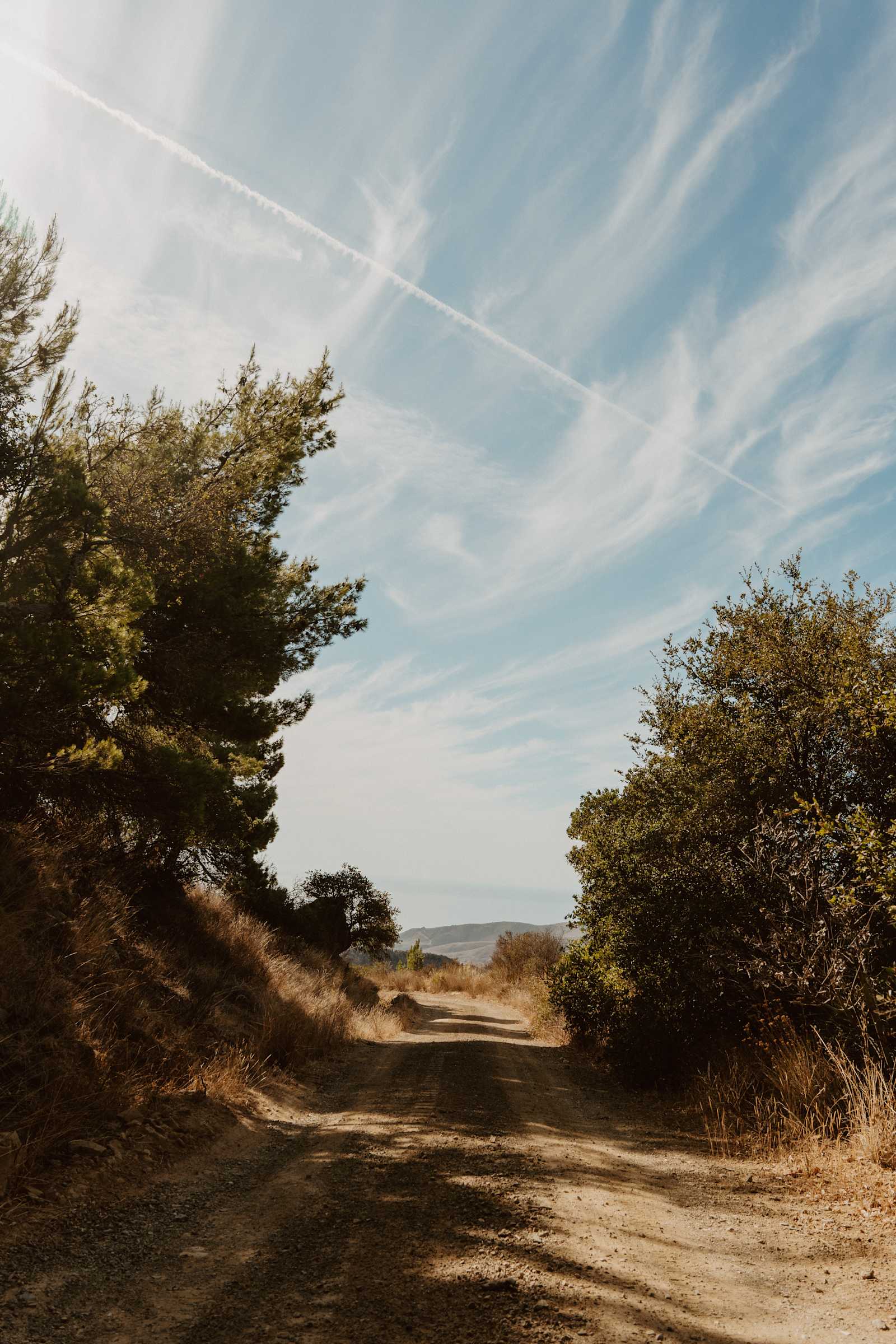Gaia Farm Campground - Goleta, California - glamping.directory