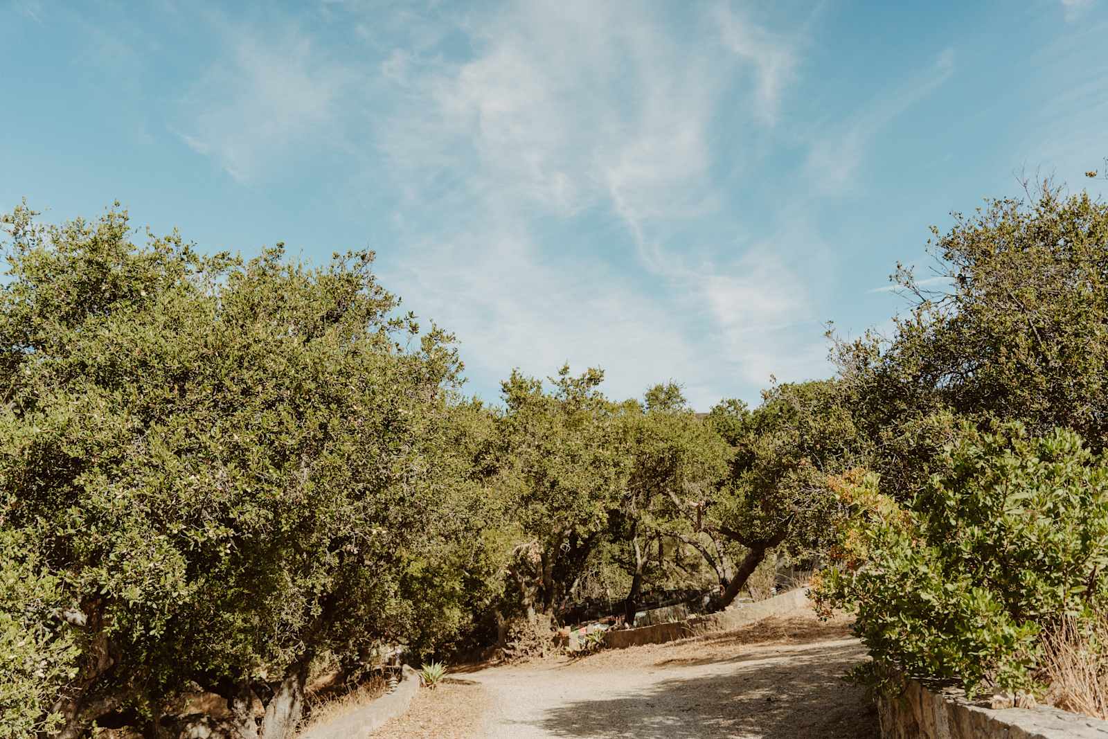 Gaia Farm Campground - Goleta, California - glamping.directory