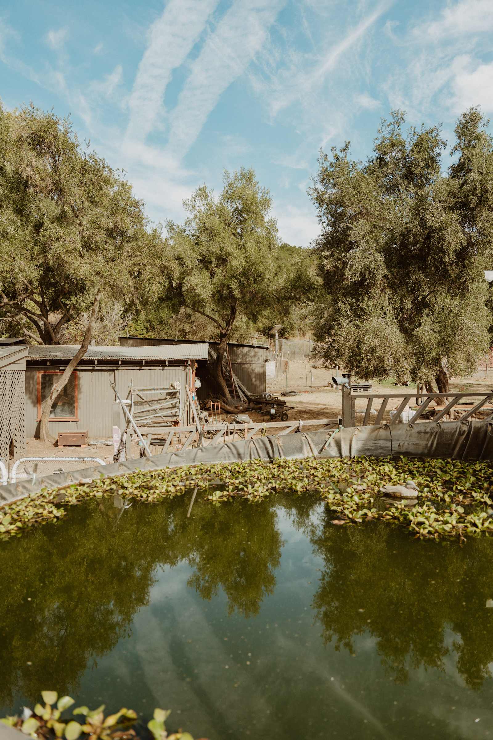 Gaia Farm Campground - Goleta, California - glamping.directory