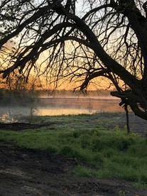 Charming Texas Cabin Rental for a Vacation in Honey Grove - Honey Grove, Texas - glamping.directory
