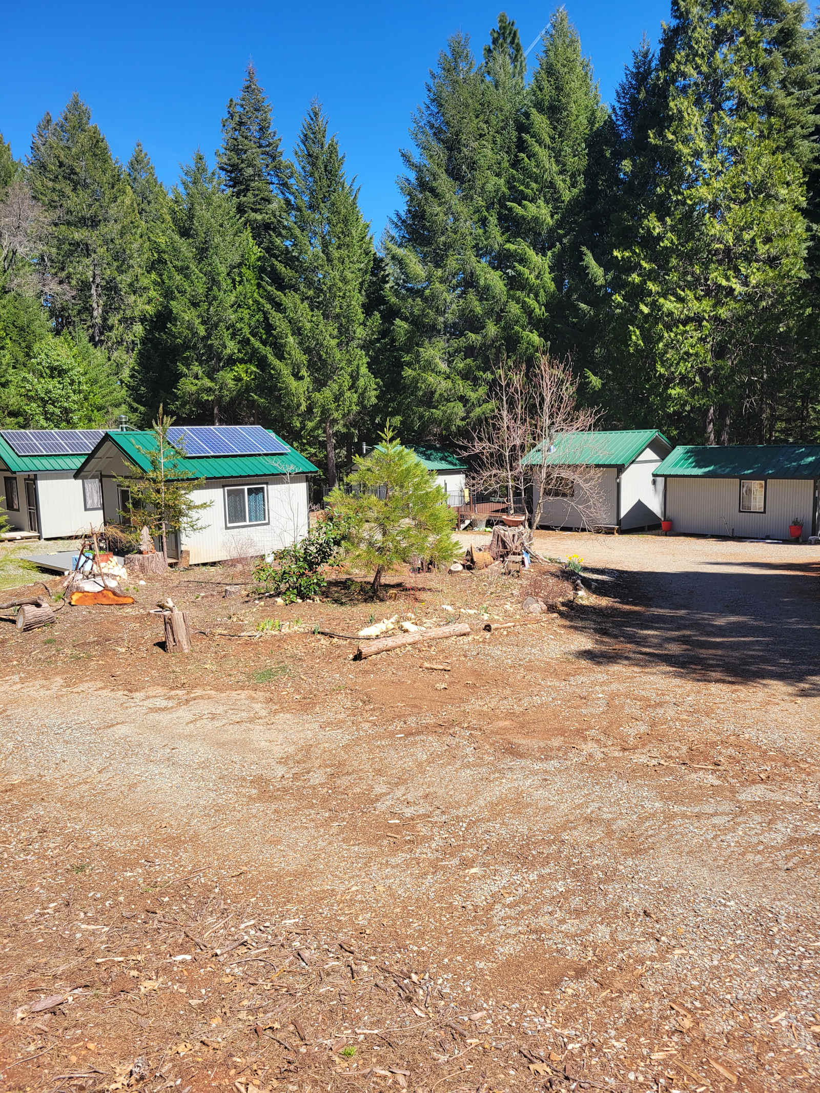 Sierra Jungle - Camptonville, California - glamping.directory