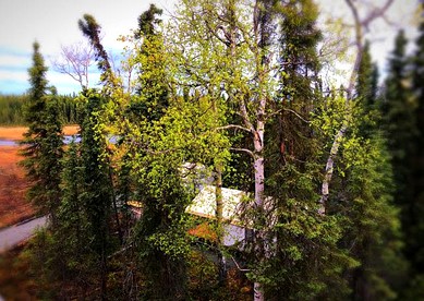 Romantic Tent Getaway for Two with a Private Deck in Soldotna, Alaska - Soldotna, Alaska - glamping.directory