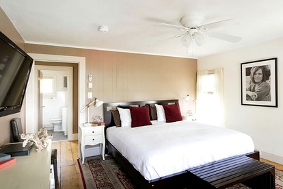 Stunning Penthouse Suite, Perfect for Couples, in Catskills of New York - Woodstock, New York - glamping.directory