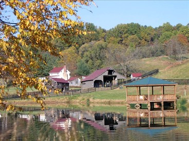 Lovely Cottage on Farm near Shenandoah National Park, Virginia - Sperryville, Virginia - glamping.directory