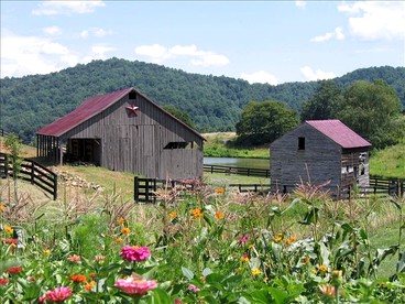 Lovely Cottage on Farm near Shenandoah National Park, Virginia - Sperryville, Virginia - glamping.directory