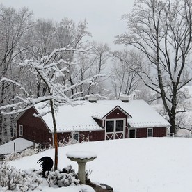 Lovely Cottage on Farm near Shenandoah National Park, Virginia - Sperryville, Virginia - glamping.directory