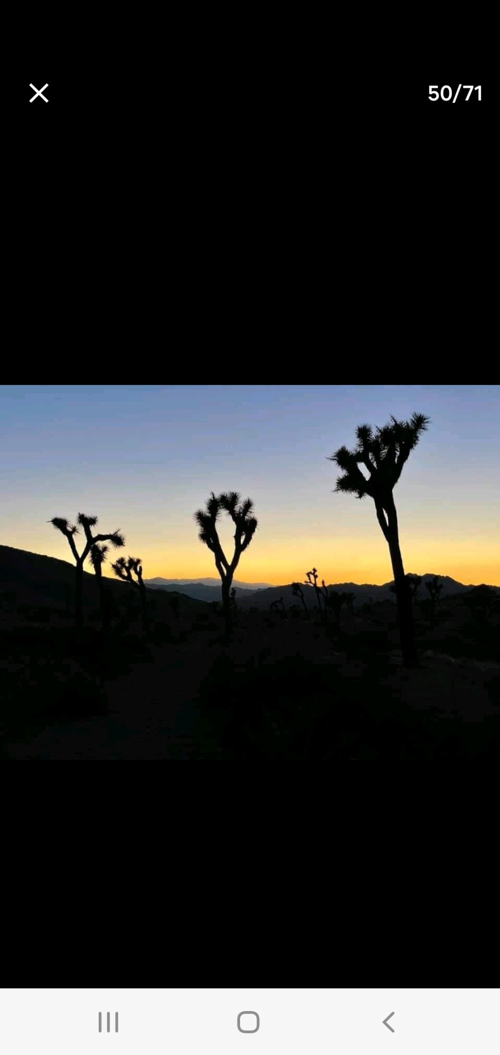 JT High desert Hideout - Homestead Valley, California - glamping.directory
