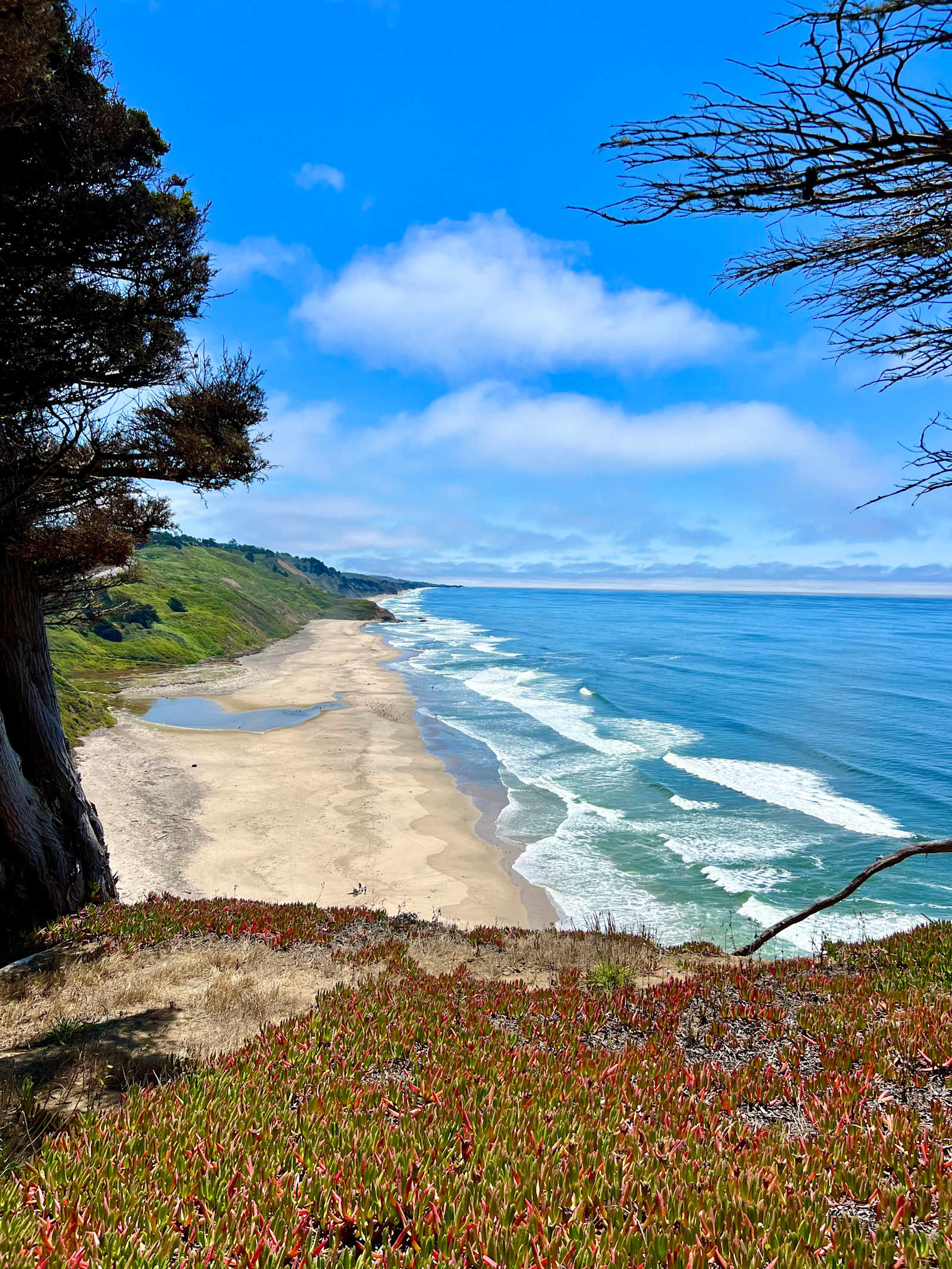 Tunitas Beach Overlook - Airstream - Half Moon Bay, California - glamping.directory