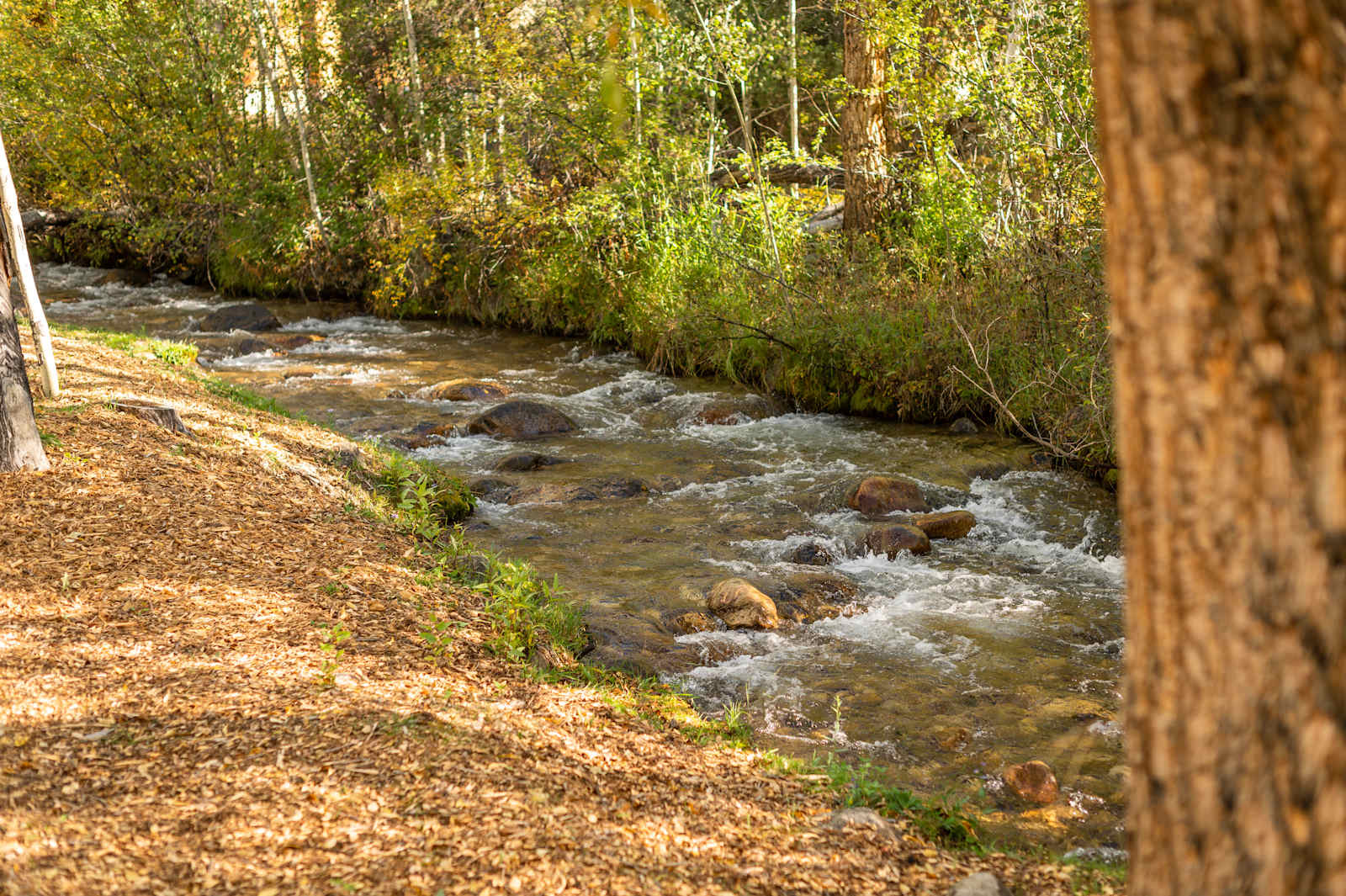 Creekside Chalets - Salida, Colorado - glamping.directory