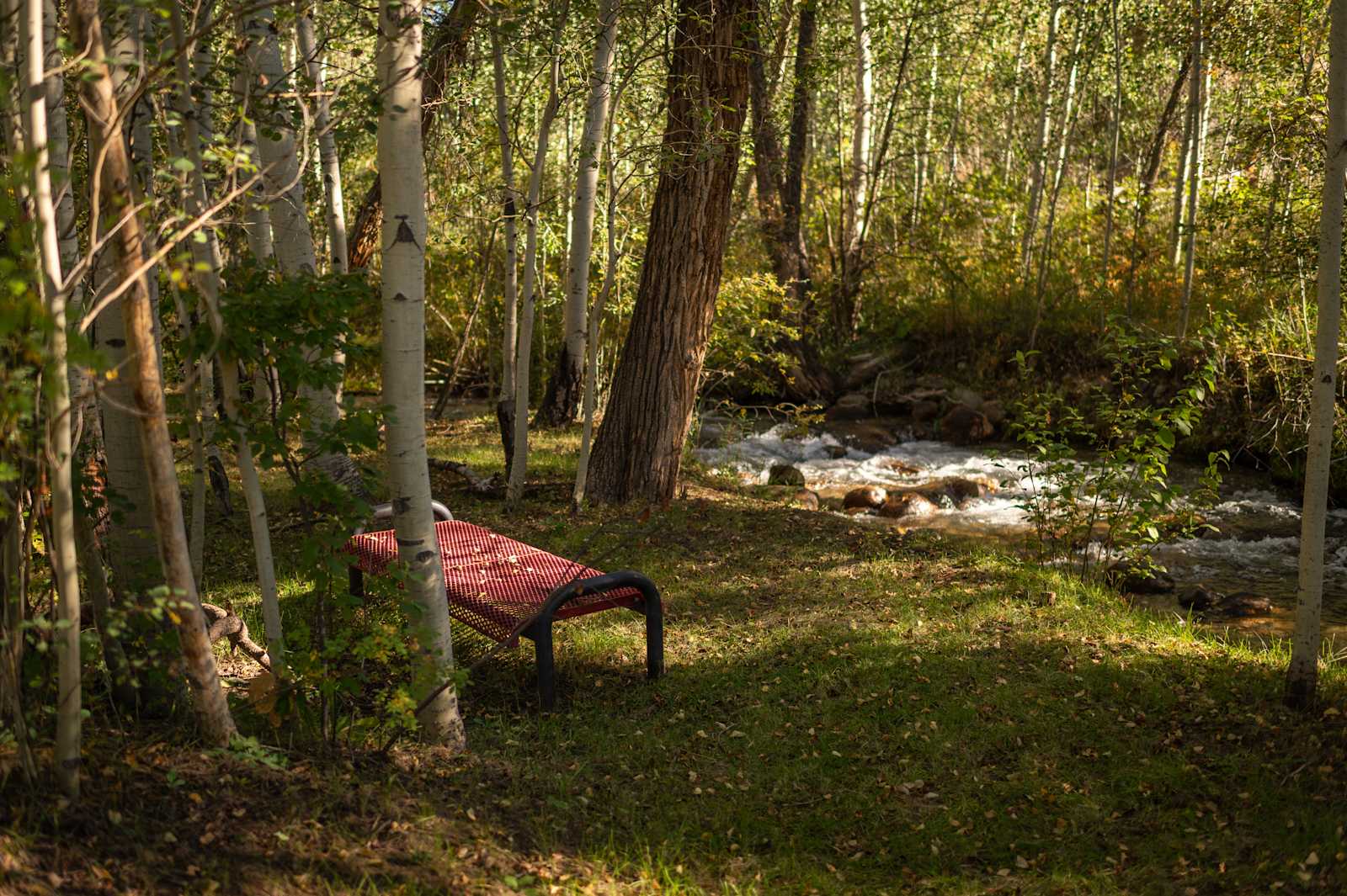Creekside Chalets - Salida, Colorado - glamping.directory