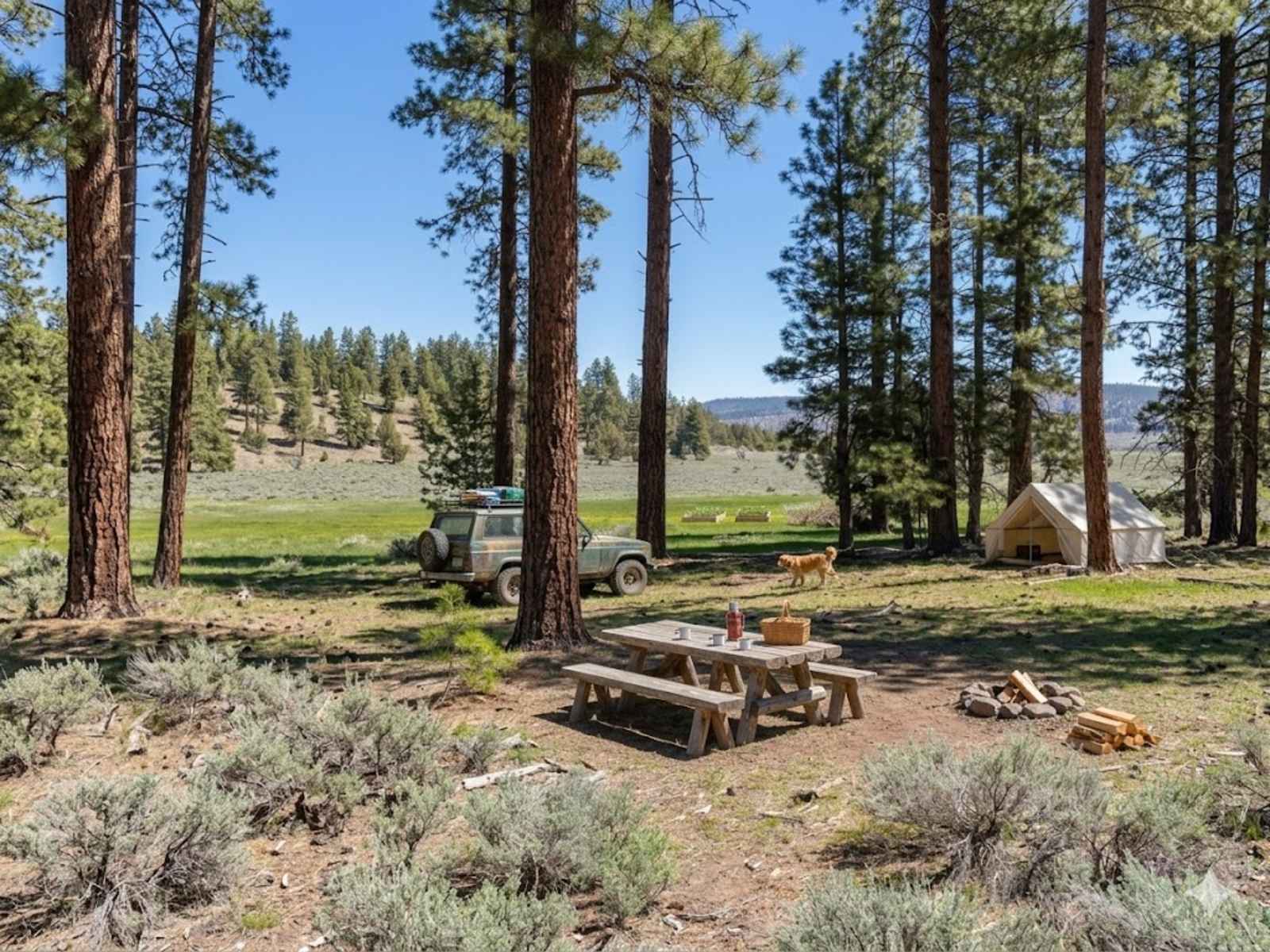 High Desert Vista Camping - Alturas, California - glamping.directory