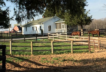 Charming Cottage Overlooking Gorgeous Citation Bass and Bream Pond near Charlottesville - Gordonsville, Virginia - glamping.directory