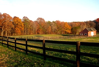 Charming Cottage Overlooking Gorgeous Citation Bass and Bream Pond near Charlottesville - Gordonsville, Virginia - glamping.directory