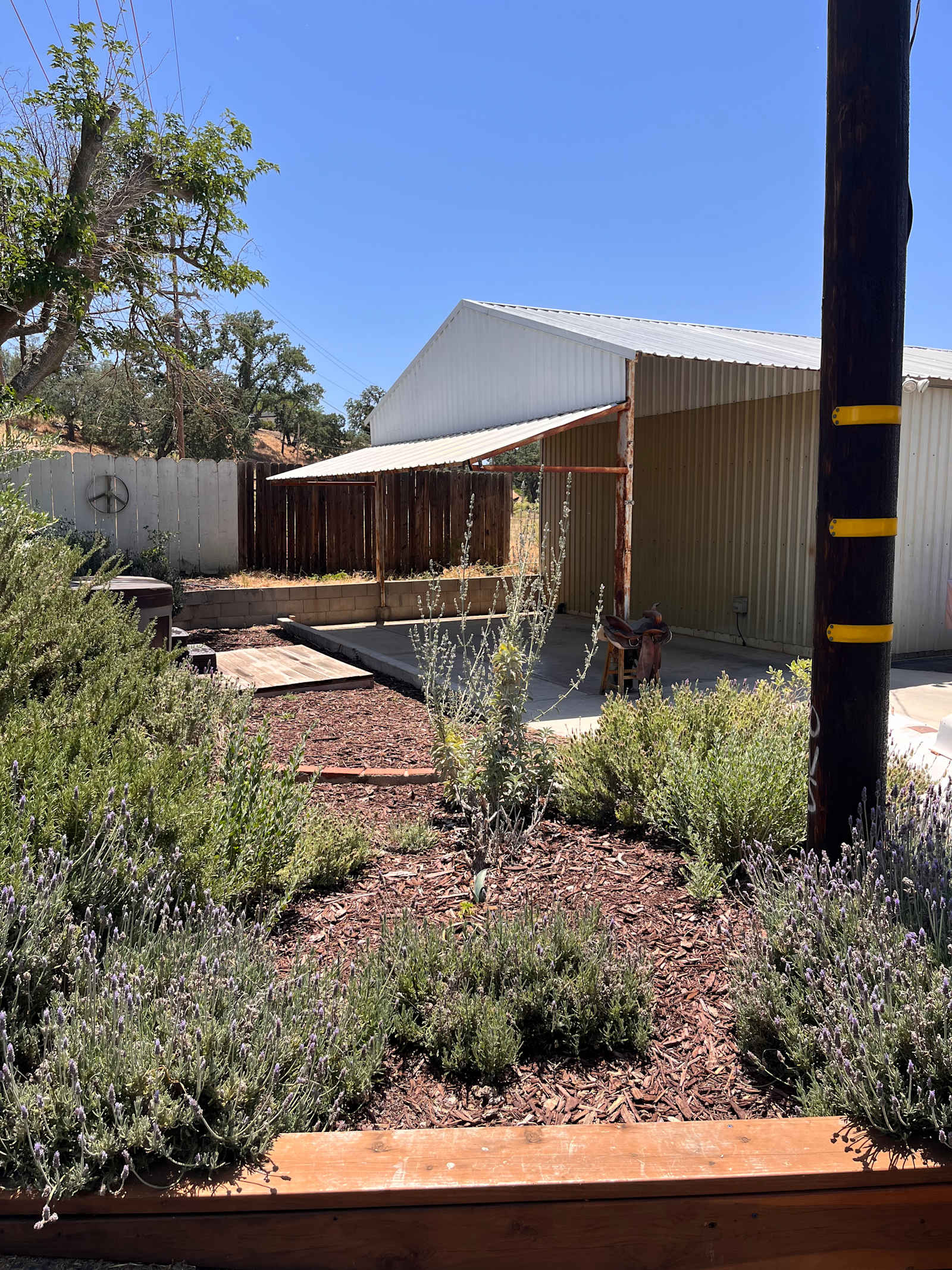Feather River Ranch+solar pool+spa - Paso Robles, California - glamping.directory