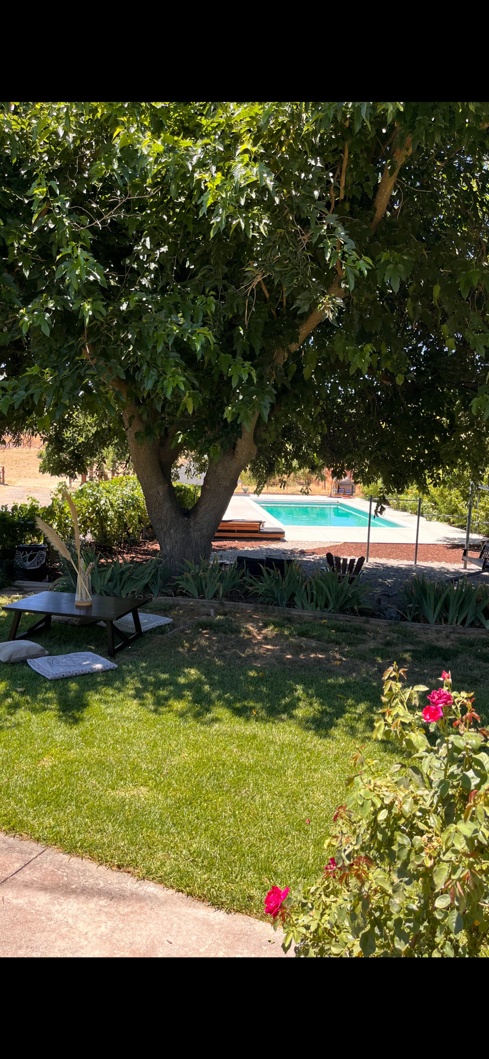 Feather River Ranch+solar pool+spa - Paso Robles, California - glamping.directory