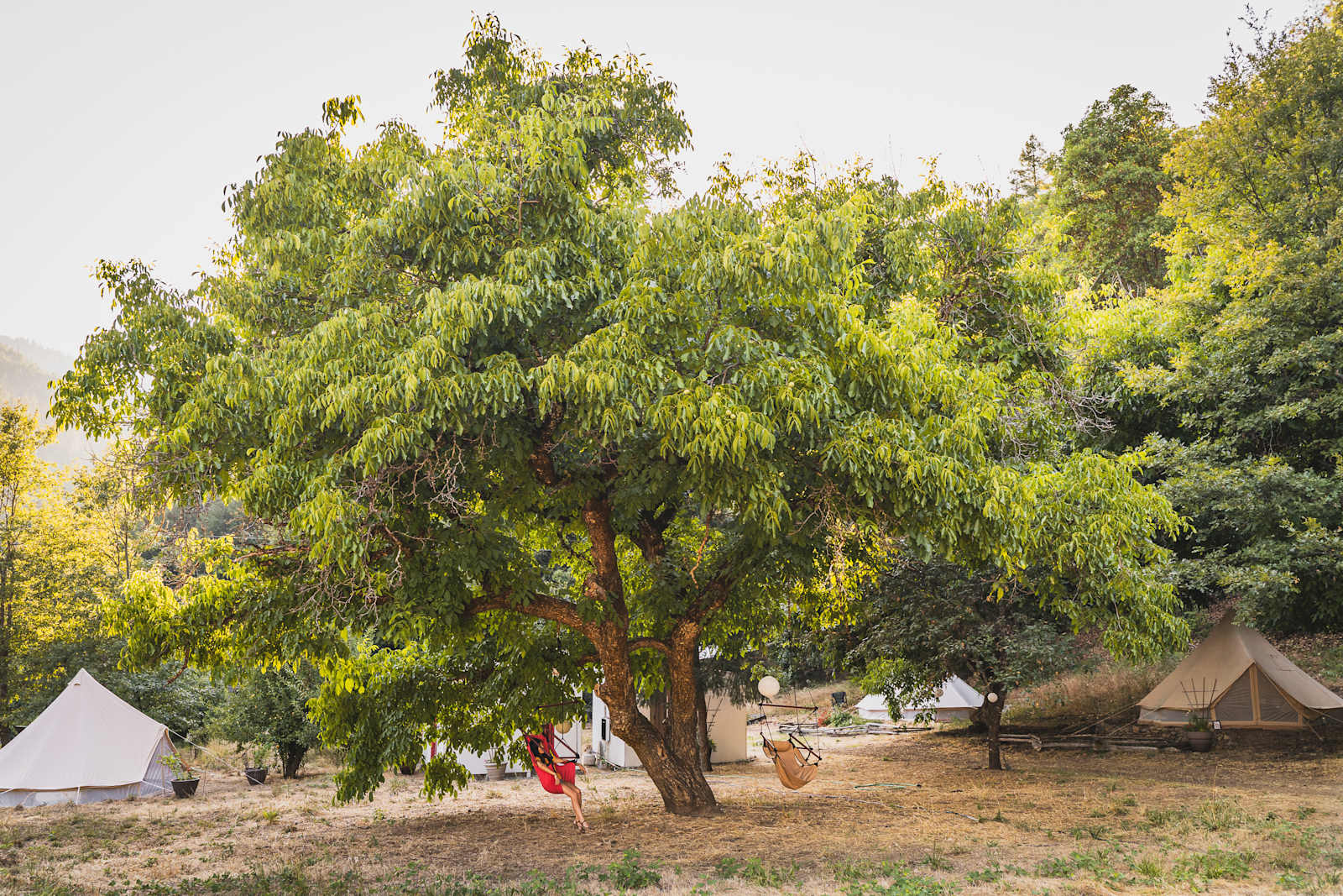 Sol Spirit Farm - Salyer, California - glamping.directory