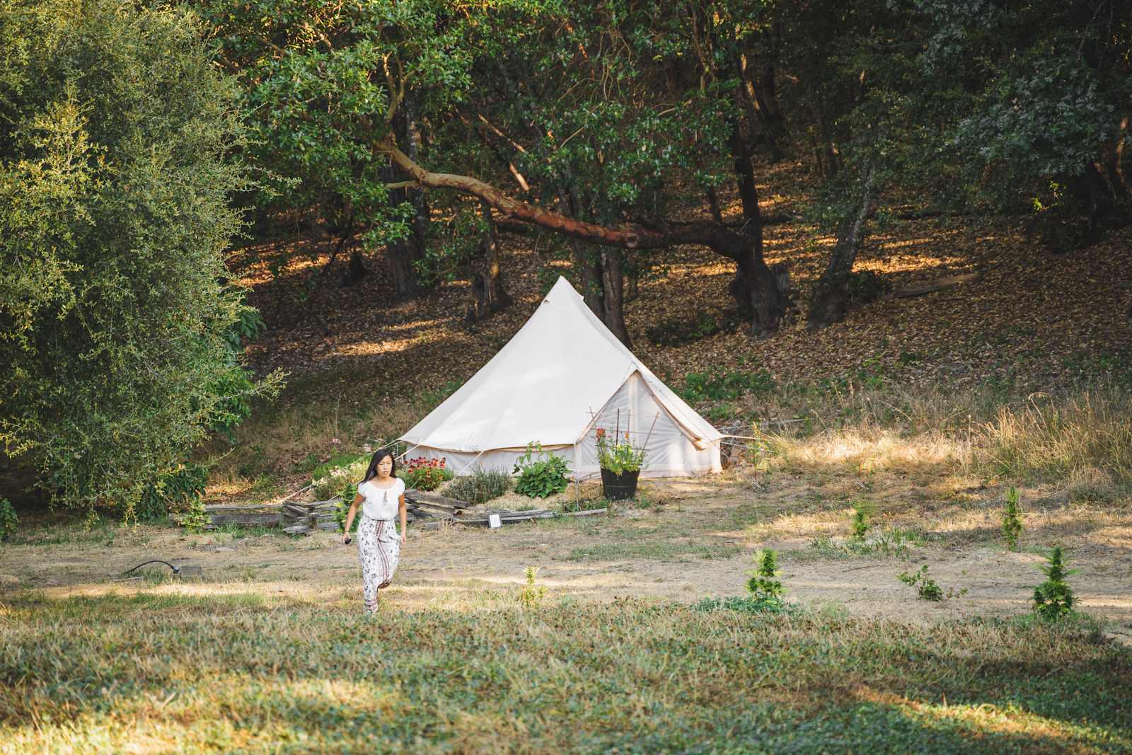 Sol Spirit Farm - Salyer, California - glamping.directory