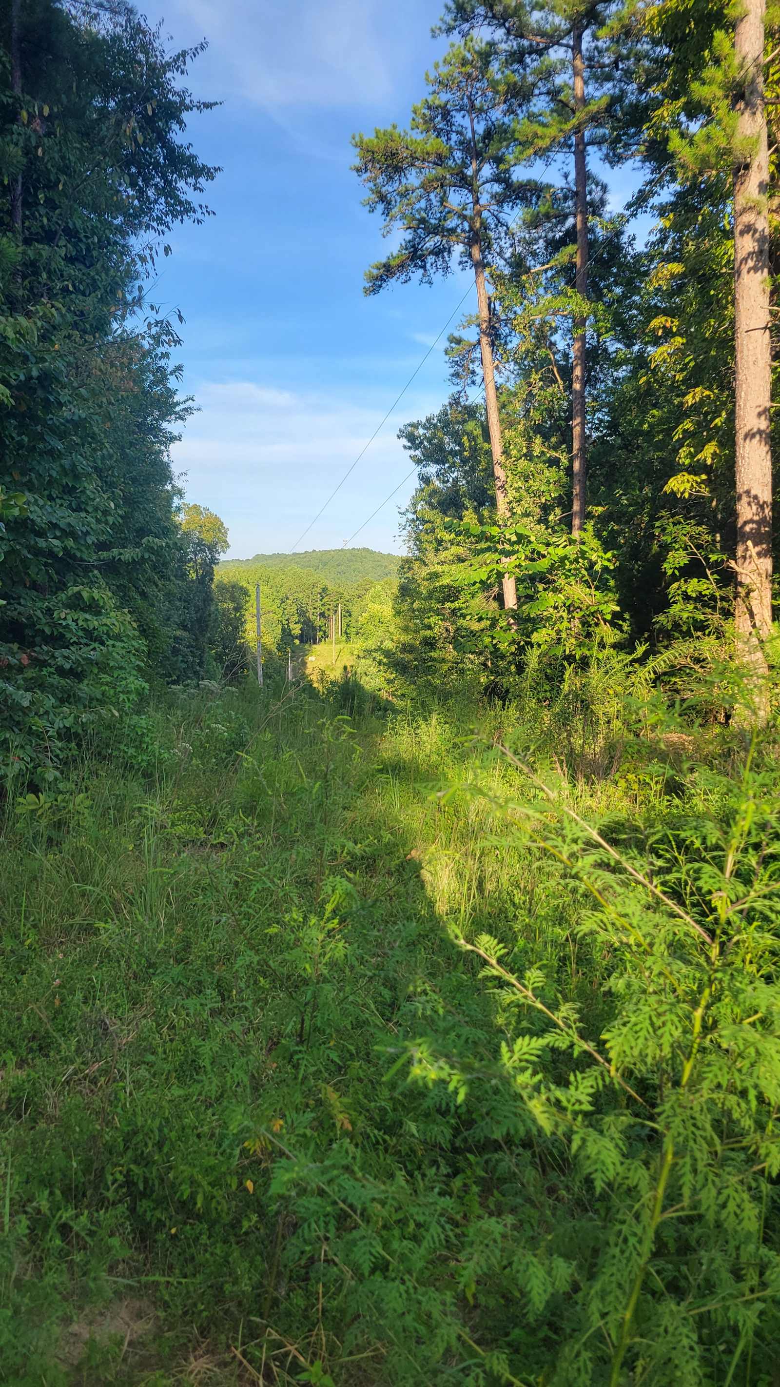 The Rock Ridge Retreat - Centre, Alabama - glamping.directory
