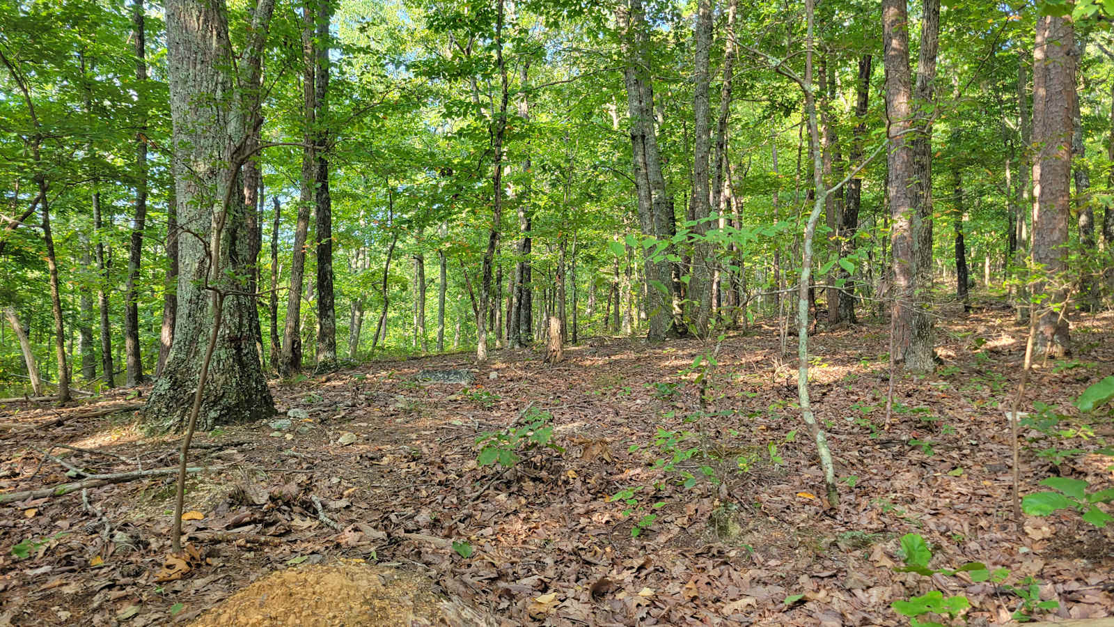 The Rock Ridge Retreat - Centre, Alabama - glamping.directory