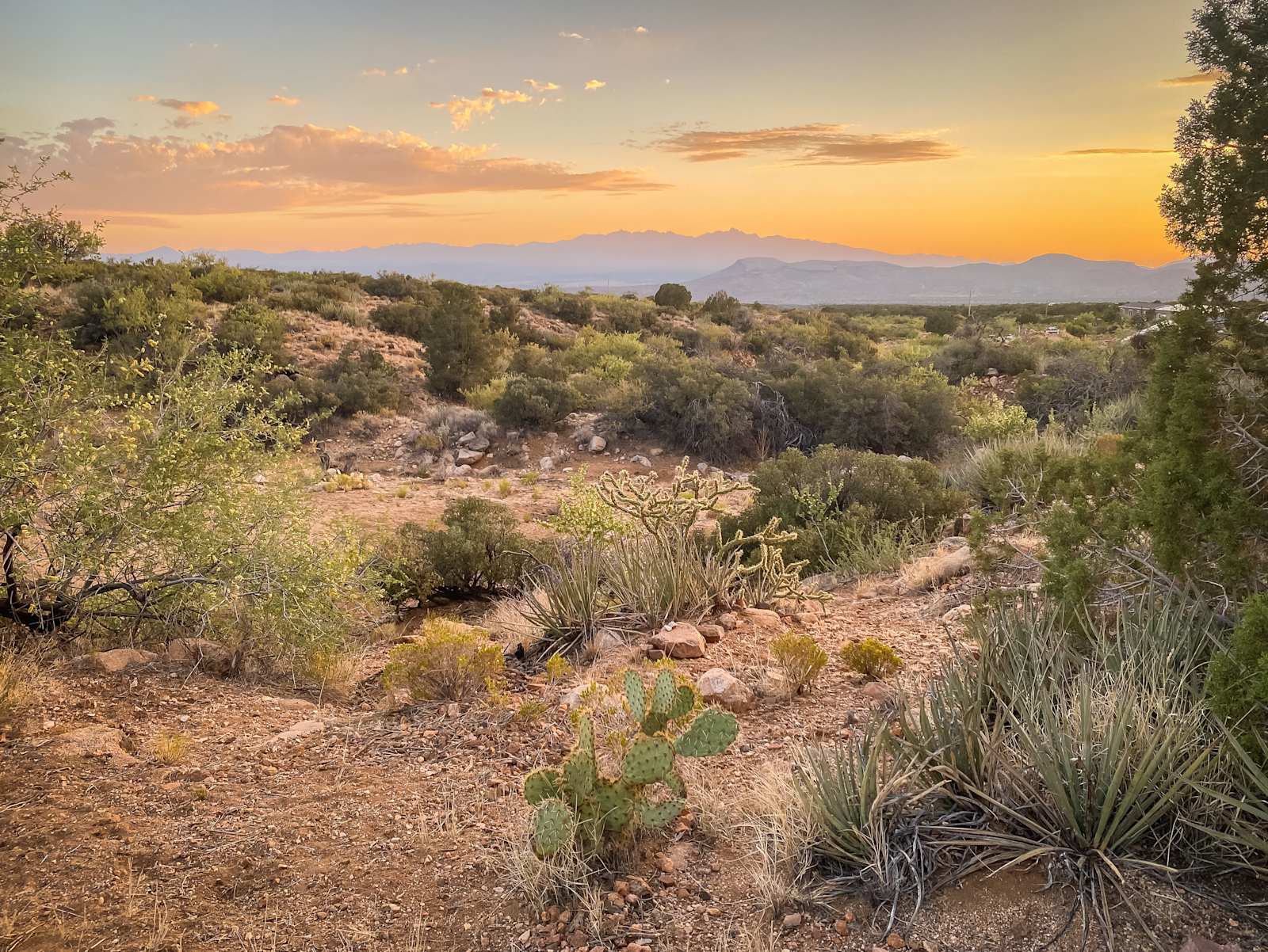 Arcadian American Farms - glamping.directory