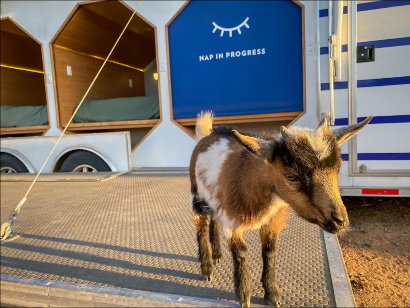 Arcadian American Farms - Kingman, Arizona - glamping.directory