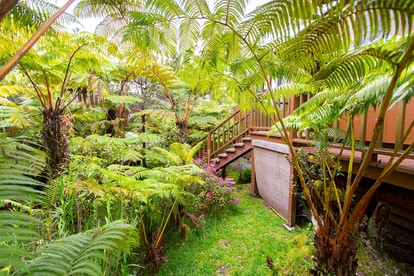 Intimate and Secluded Rainforest Retreat near Volcanoes National Park, Hawaii - Volcano, Hawaii - glamping.directory
