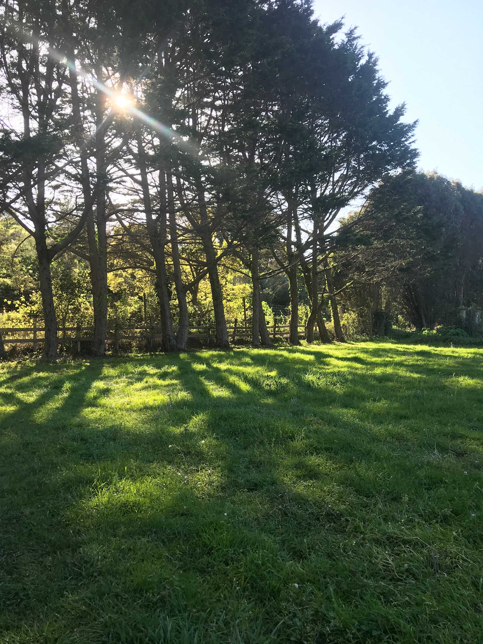 Meadow camping in Bolinas - Bolinas, California - glamping.directory