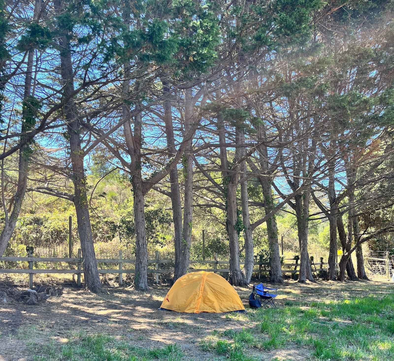 Meadow camping in Bolinas - Bolinas, California - glamping.directory