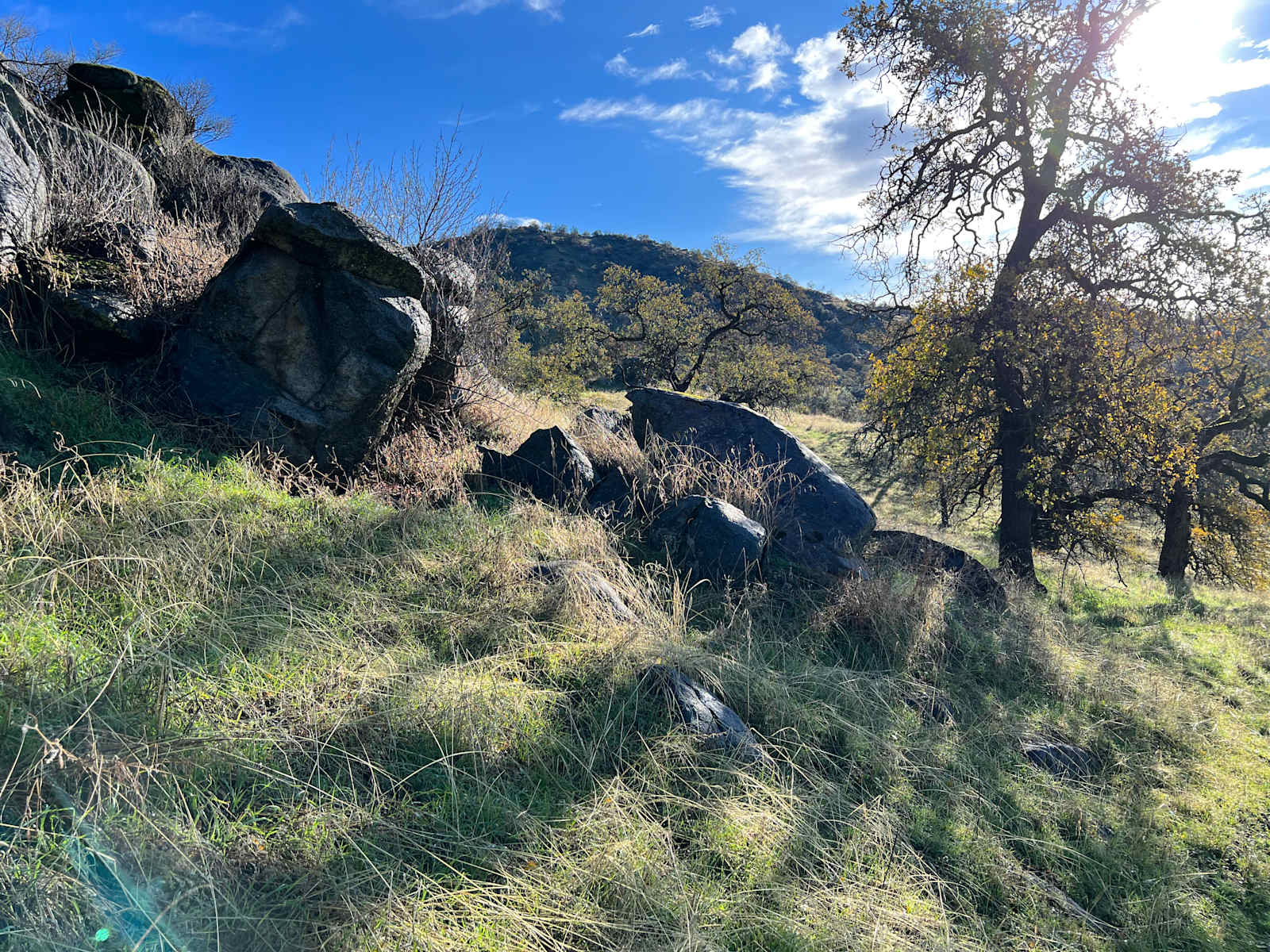 Mulligan Designs - Squaw Valley, California - glamping.directory