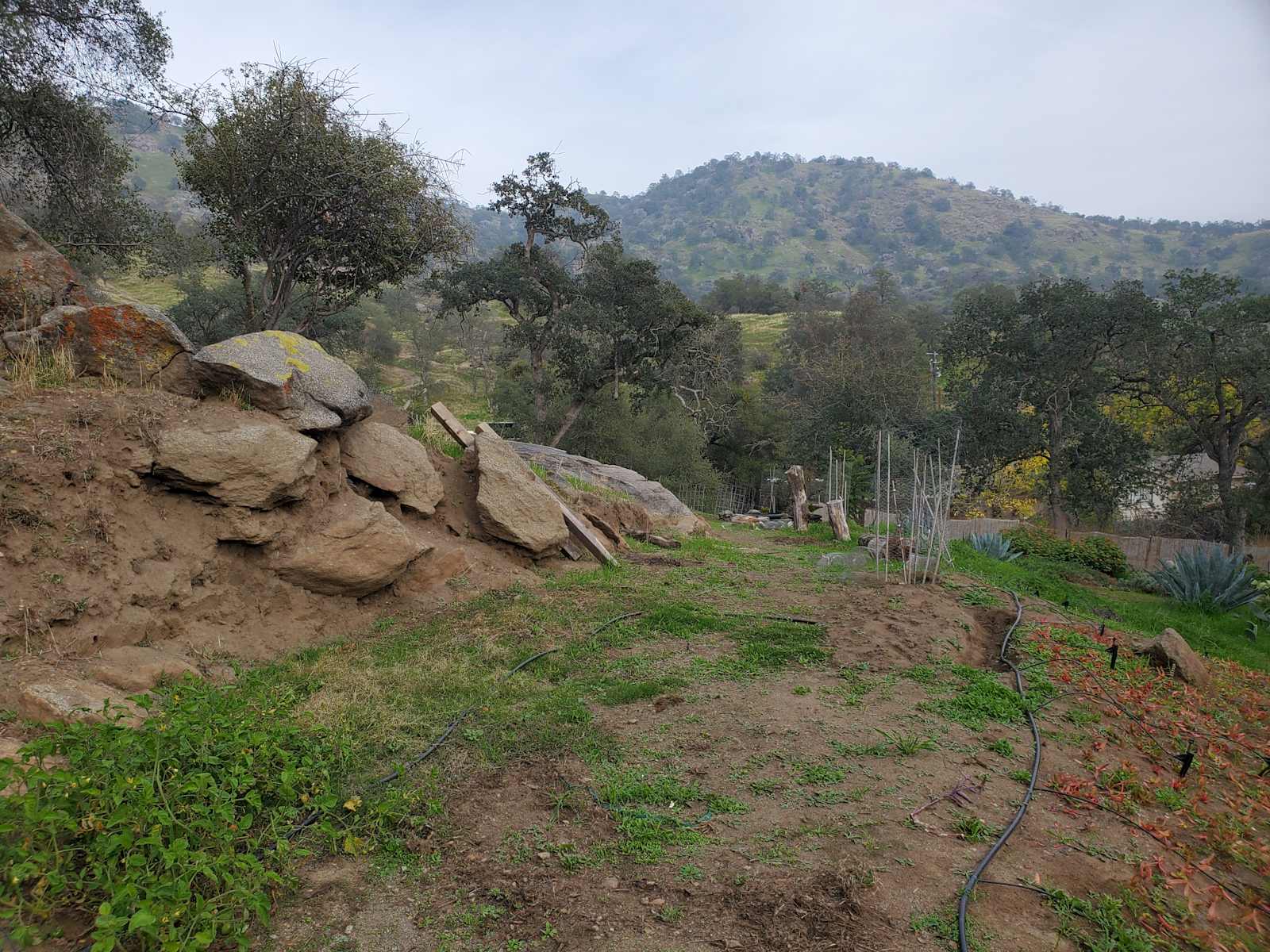 Mulligan Designs - Squaw Valley, California - glamping.directory