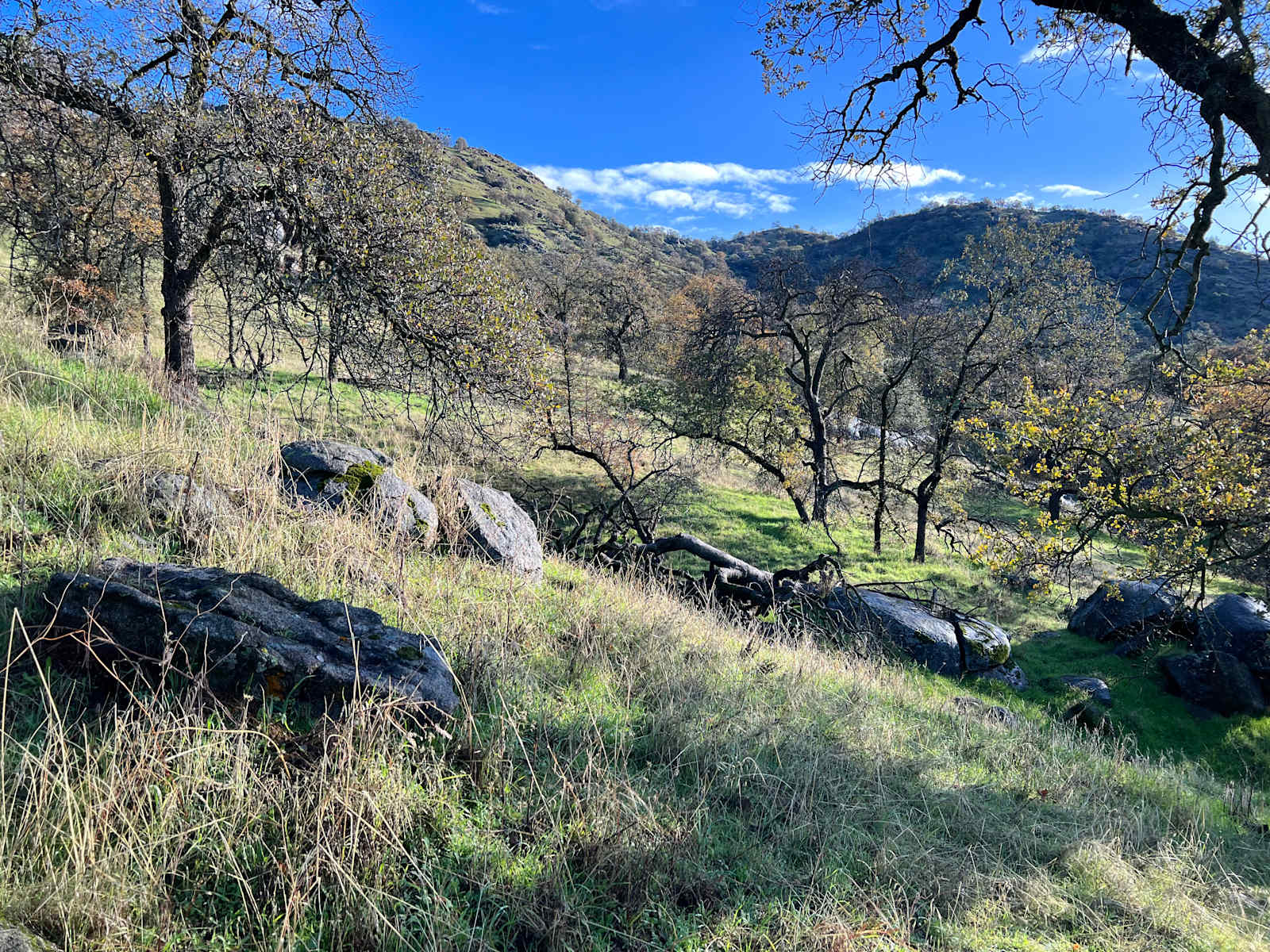 Mulligan Designs - Squaw Valley, California - glamping.directory