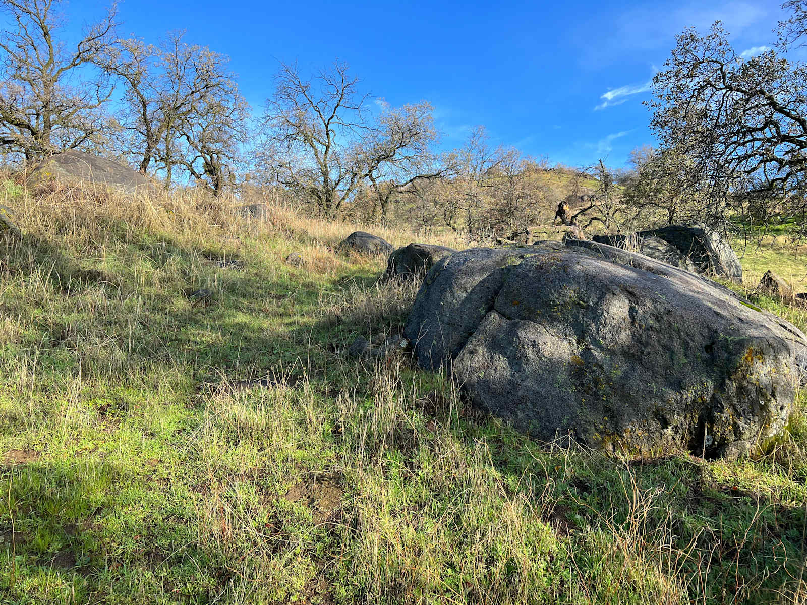 Mulligan Designs - Squaw Valley, California - glamping.directory
