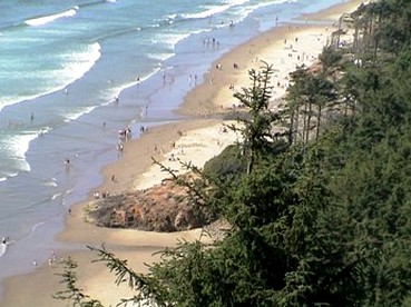 Rustic Oceanfront Cottage Rental on Netarts Bay near Tillamook - Netarts, Oregon - glamping.directory