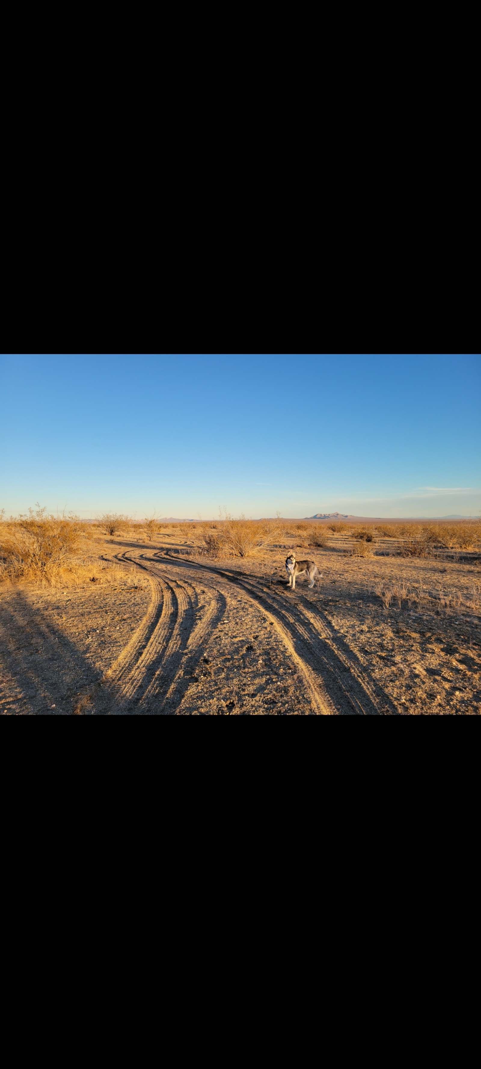 Desert Stargazers Dream - California City, California - glamping.directory
