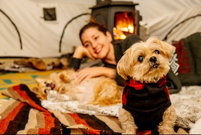 Piebald Mountain Pet Friendly Tents, Petersburg, New York - Petersburg, New York - glamping.directory
