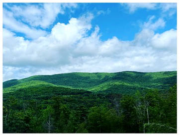 Piebald Mountain Pet Friendly Tents, Petersburg, New York - Petersburg, New York - glamping.directory