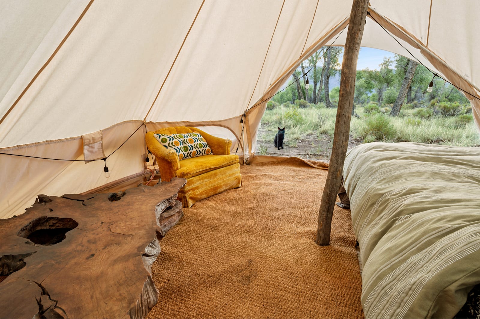 Coyote Mountain, Crestone Open Sky - Crestone, Colorado - glamping.directory