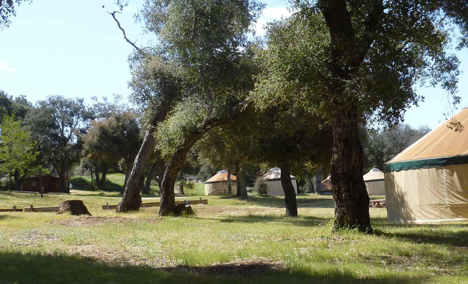 Stallion Oaks Ranch - Descanso, California - glamping.directory