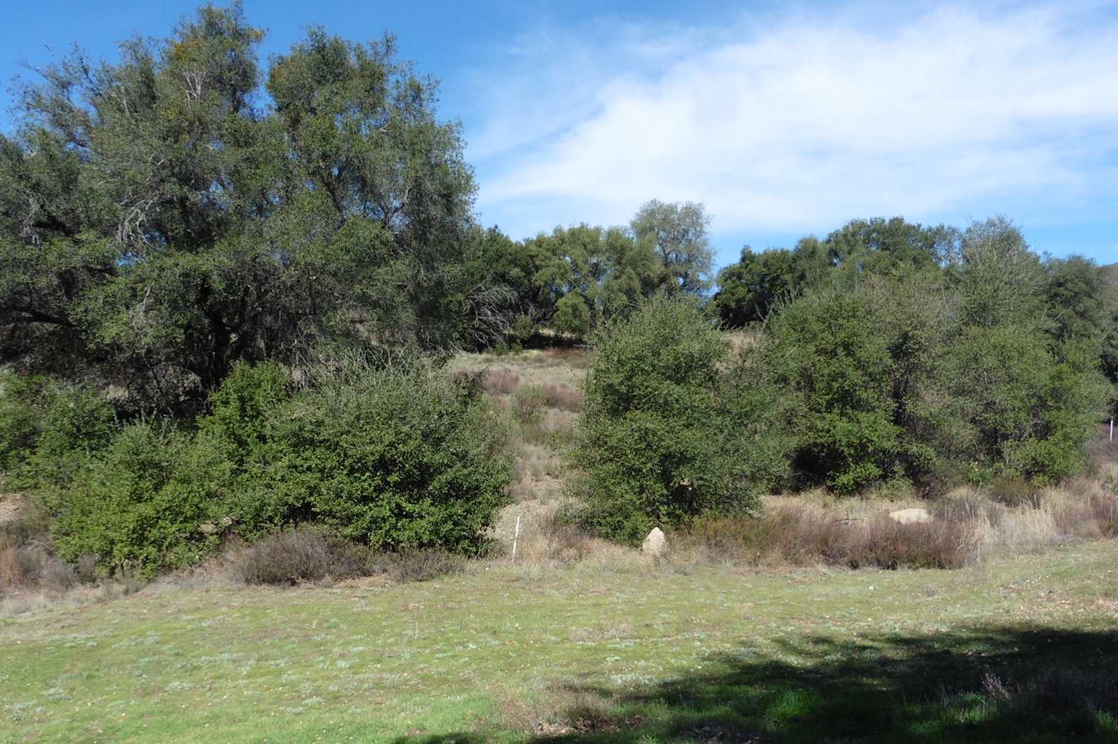 Stallion Oaks Ranch - Descanso, California - glamping.directory