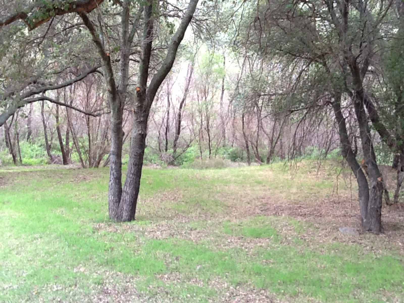Stallion Oaks Ranch - Descanso, California - glamping.directory